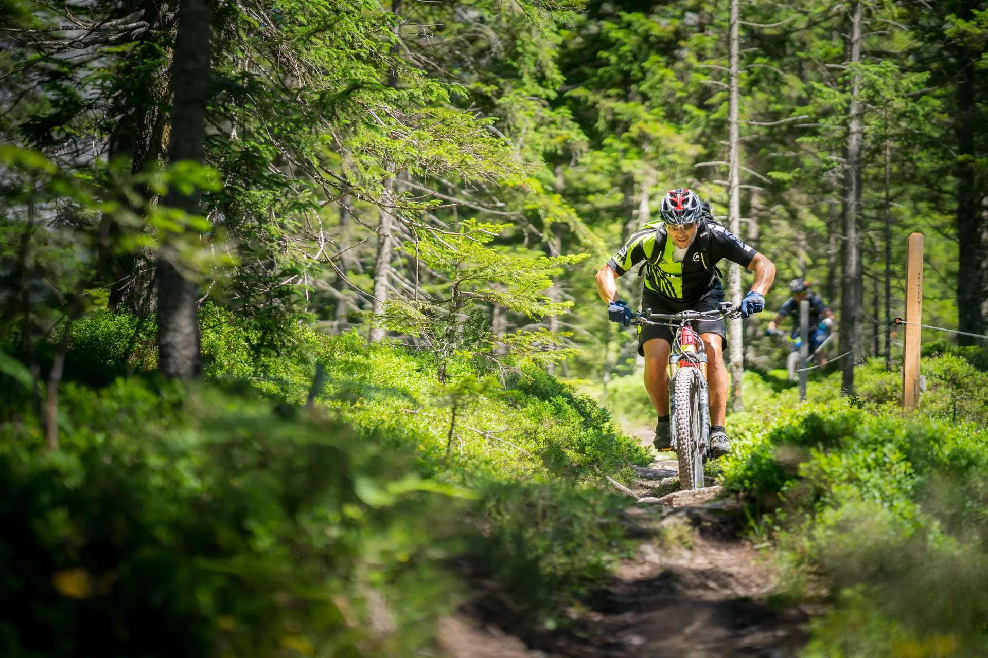 Hannes Moser auf dem Rad fahrend durch den Wald